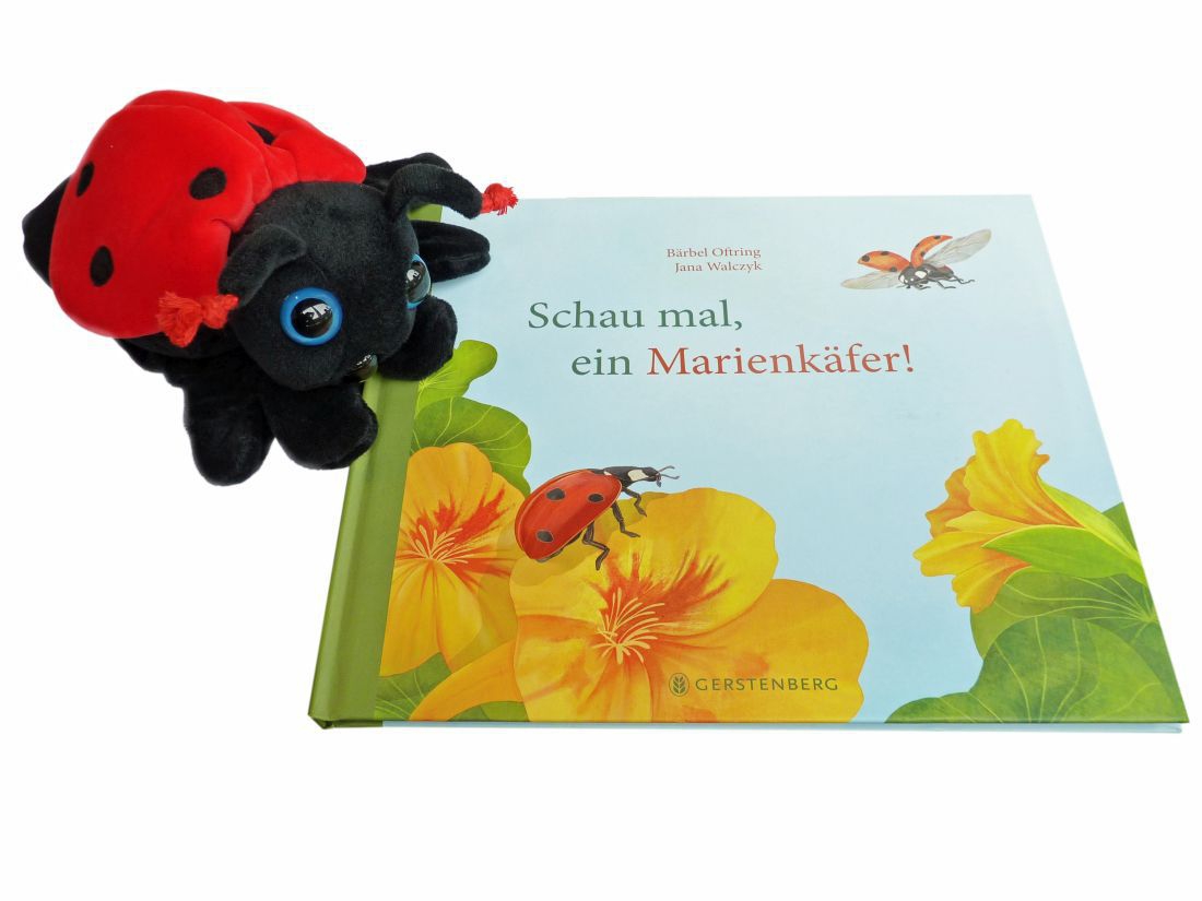 Schau mal, ein Marienkäfer und Marienkäfer Schau mal, ein Marienkäfer und Marienkäfer