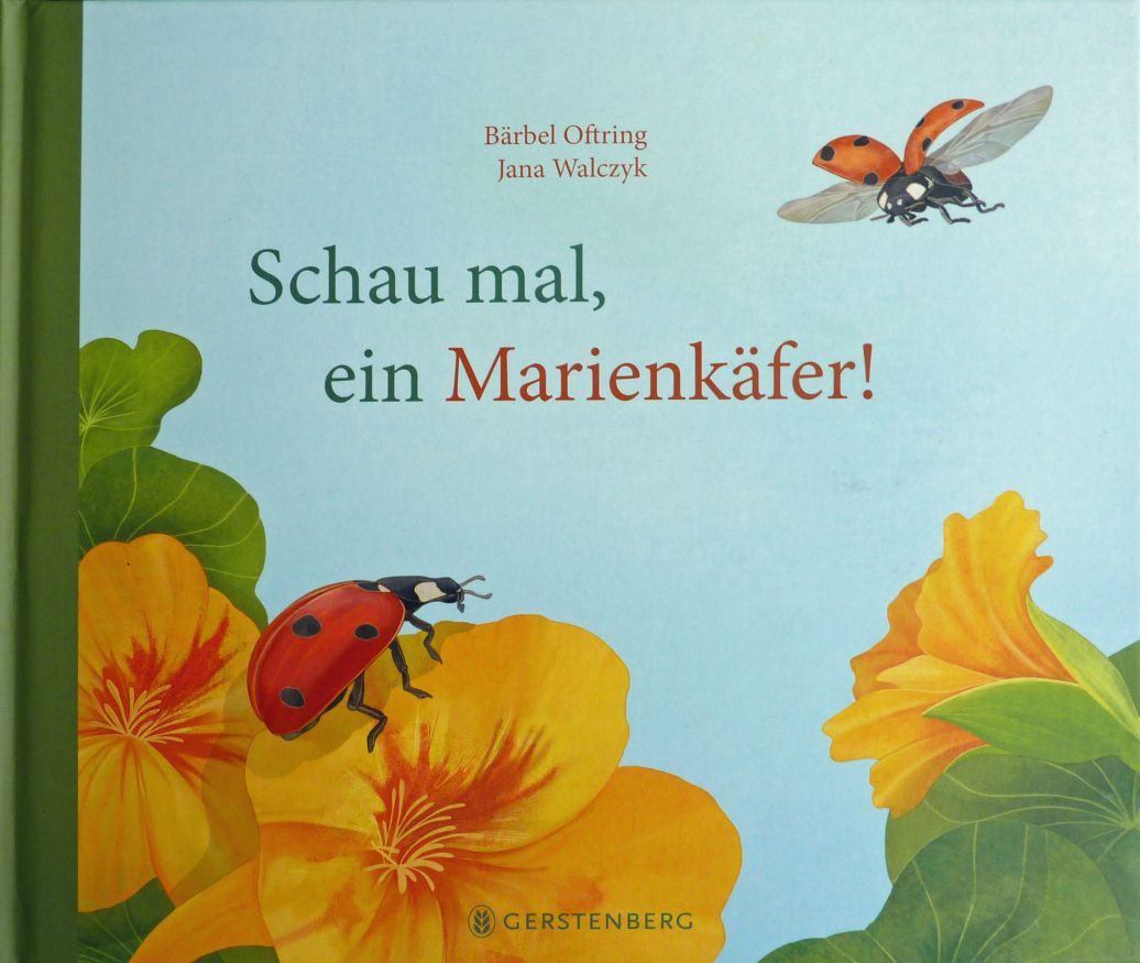 Schau mal, ein Marienkäfer!