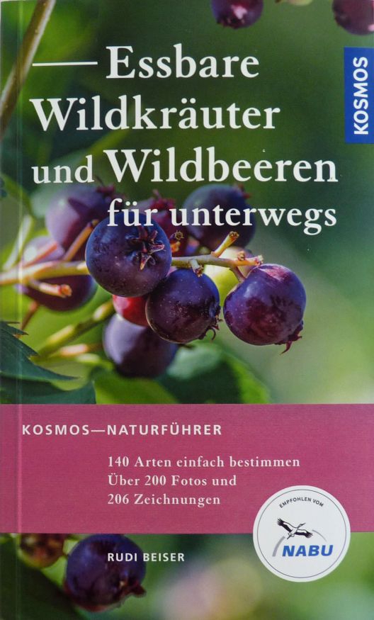 Essbare Wildkräuter und Wildbeeren für unterwegs