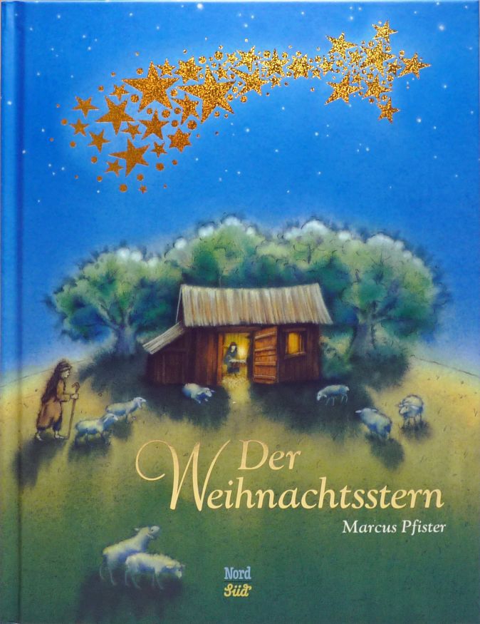 Der Weihnachtsstern