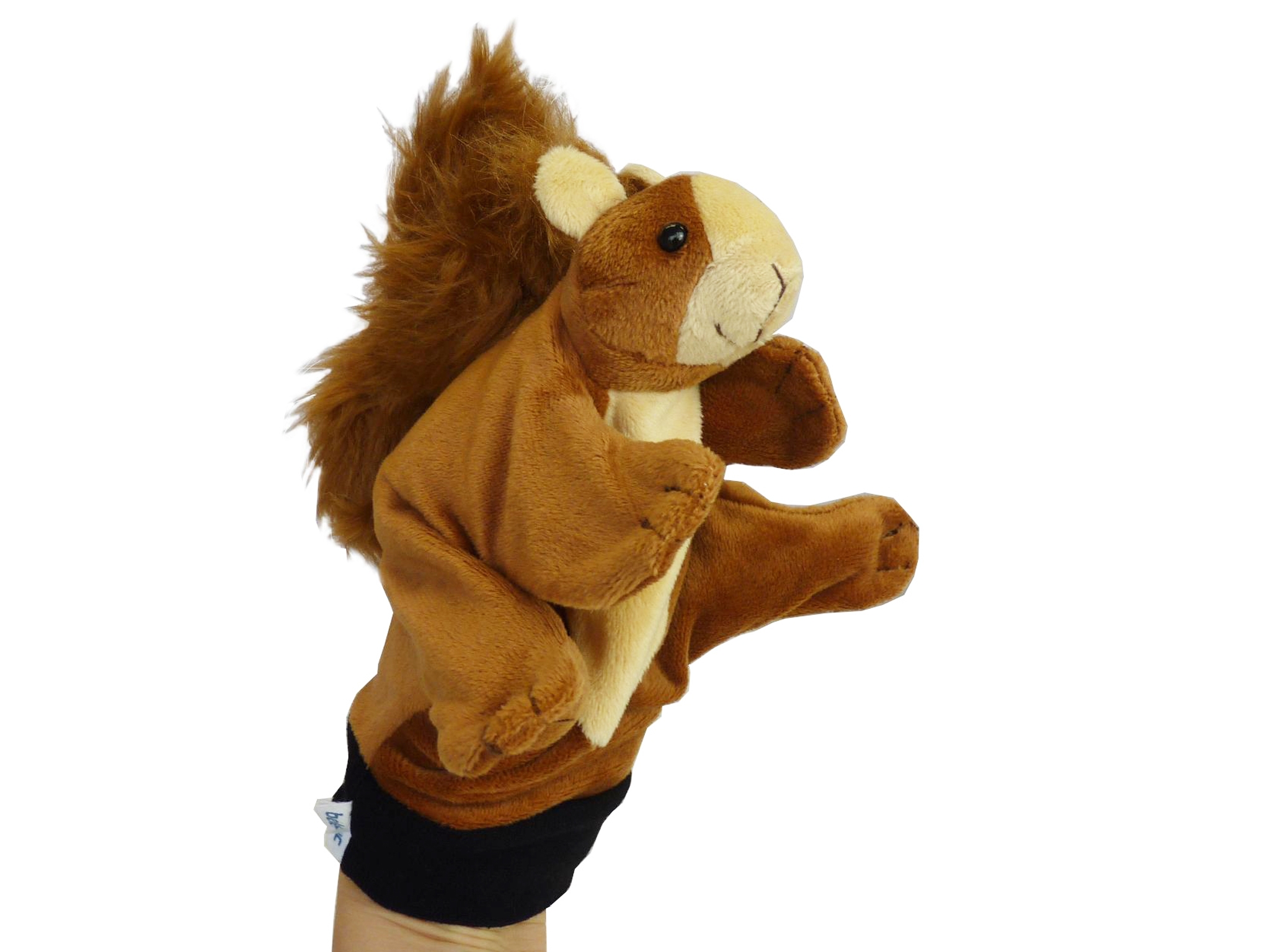 Handschuhtier Eichhörnchen