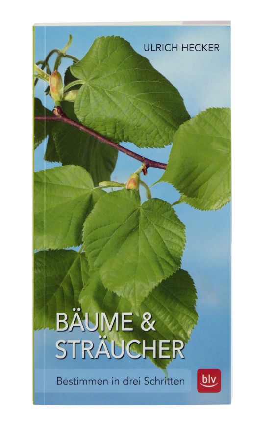 Bäume & Sträucher