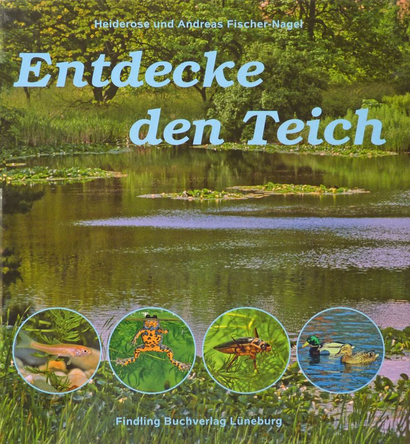 Entdecke den Teich