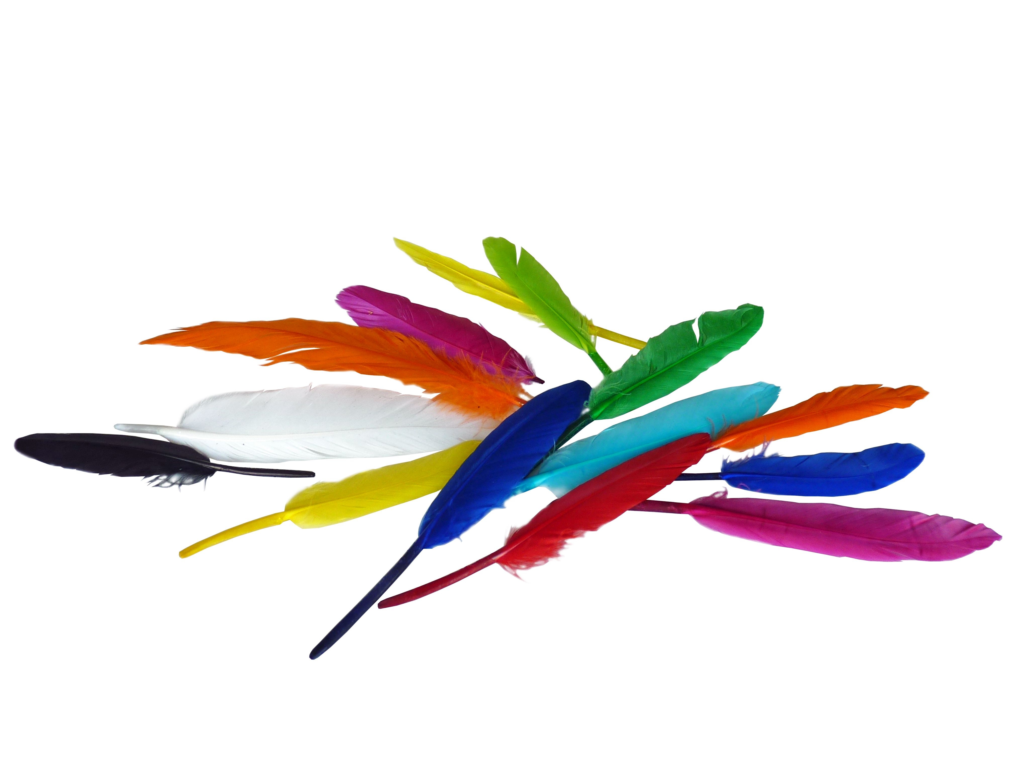 Kopfschmuck-Federn Kopfschmuck-Federn