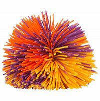 Fransenball Fransenball