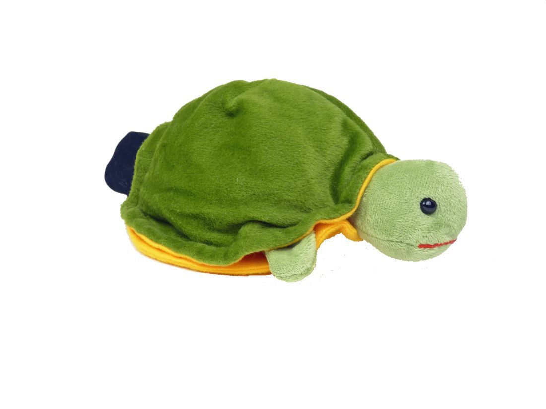 Handschuhtier Schildkröte Handschuhtier Schildkröte