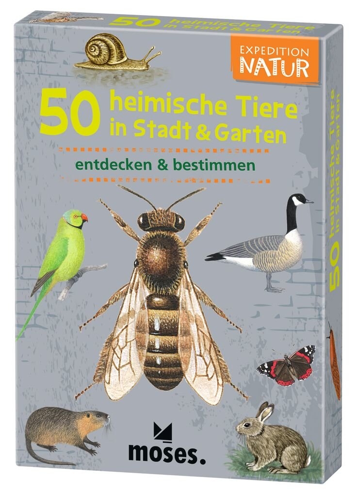 50 heimische Tiere in Stadt & Garten