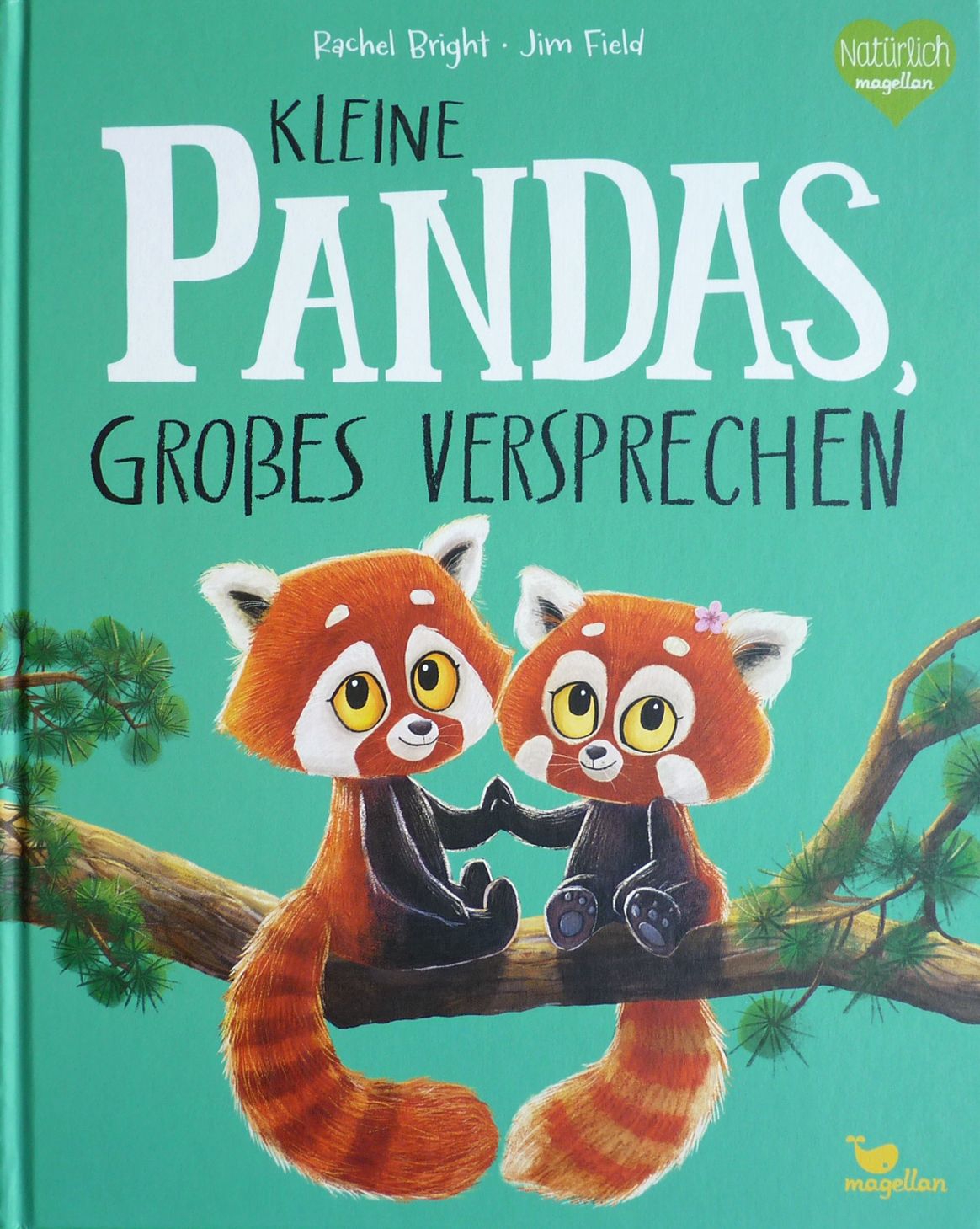 Kleine Pandas, großes Versprechen