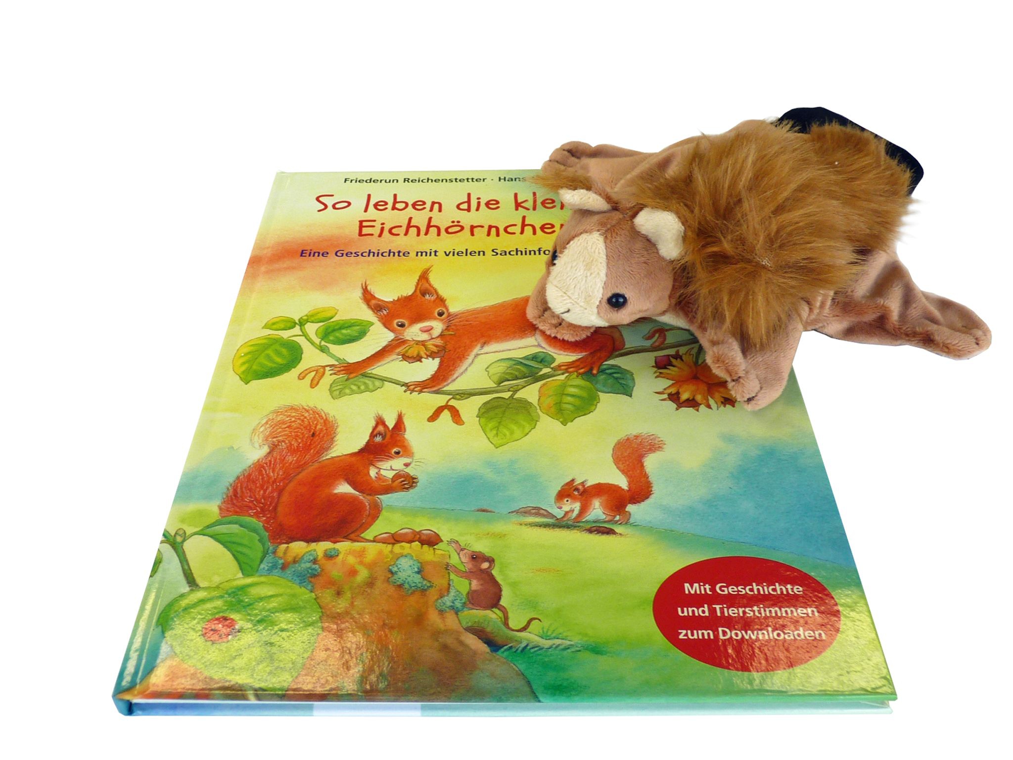 So leben die kleinen Eichhörnchen und Eichhörnchen So leben die kleinen Eichhörnchen und Eichhörnchen