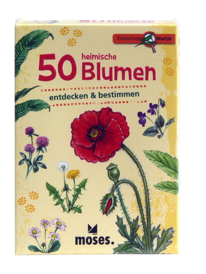 50 heimische Blumen