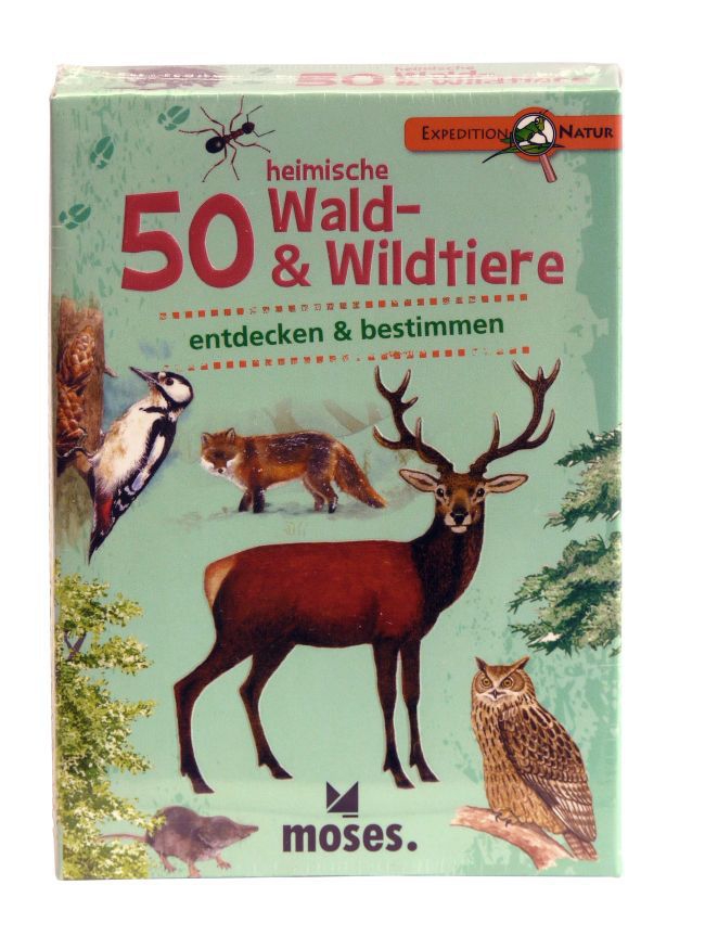 50 heimische Wald- und Wildtiere