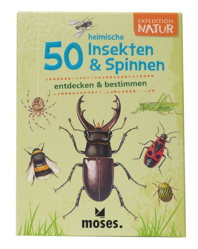 50 heimische Insekten- und Spinnen