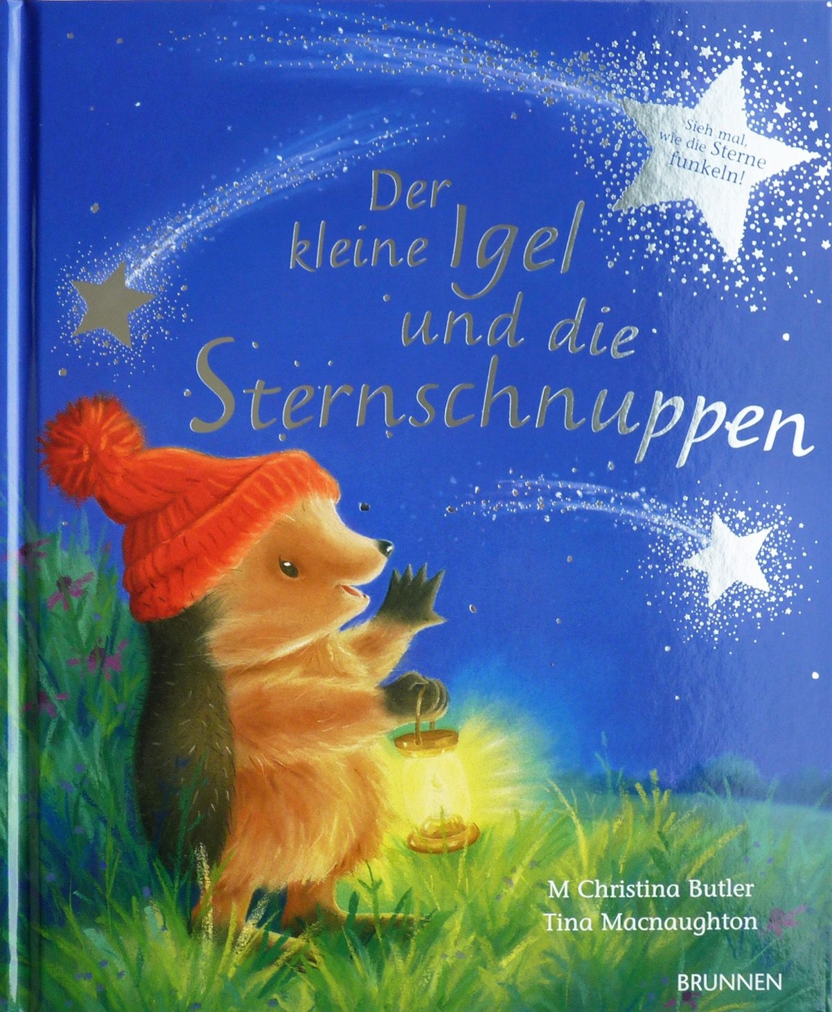 Der kleine Igel & die Sternschnuppen