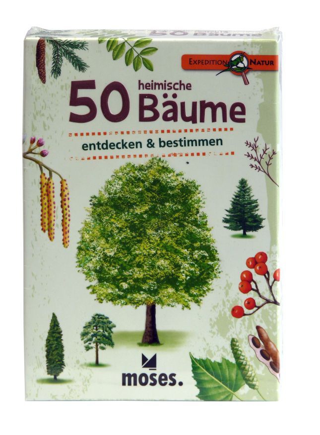 50 heimische Bäume