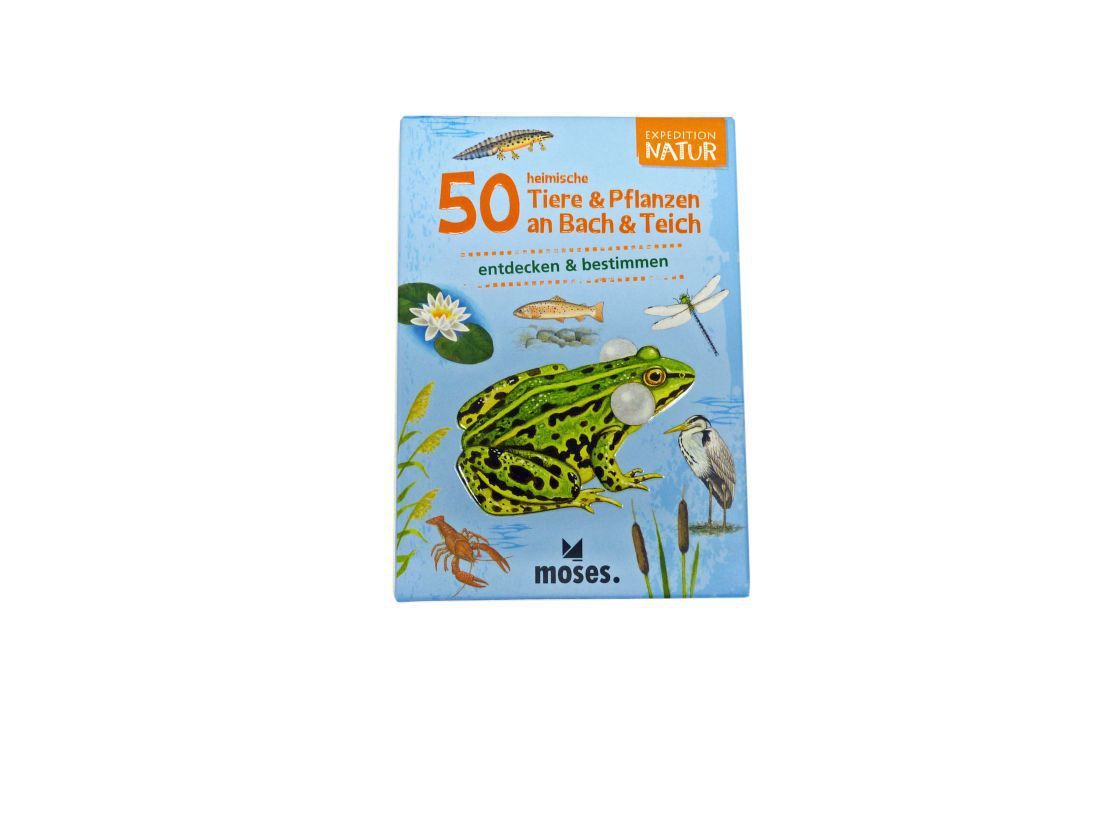 50 heimische Tiere & Pflanzen an Bach & Teich